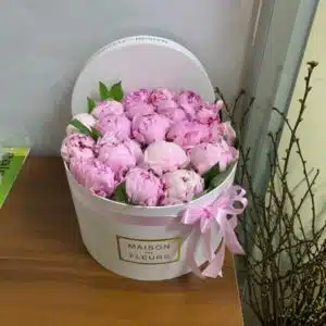 Пионы