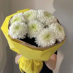 Хризантемы