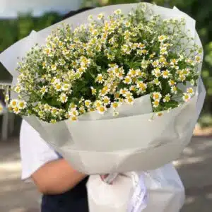 Букет из ромашек «Остия»